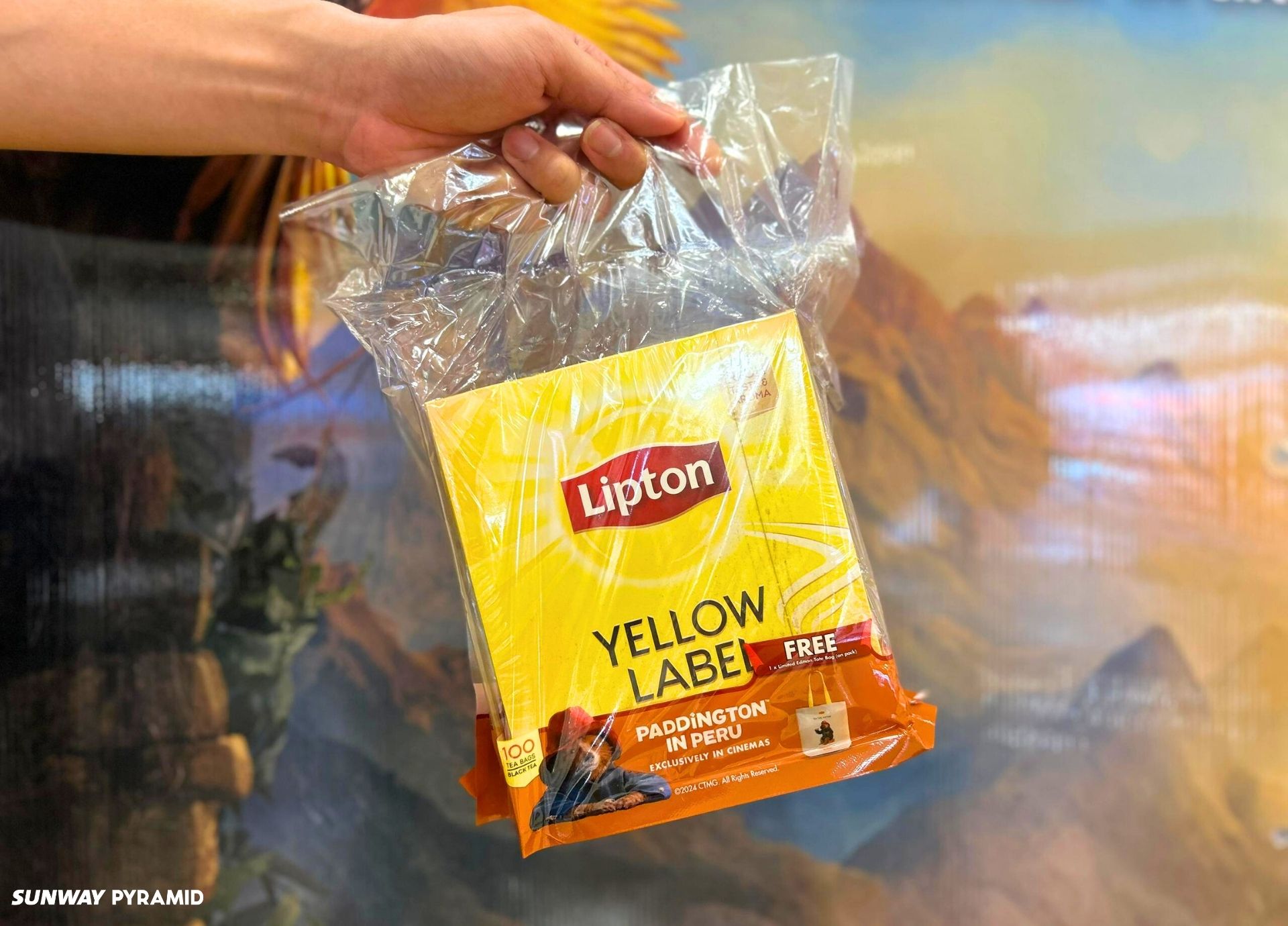 Lipton x Paddington Product Pack